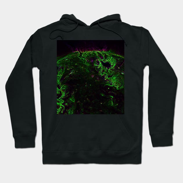 Black Panther Art - Glowing Edges 398 Hoodie by The Black Panther